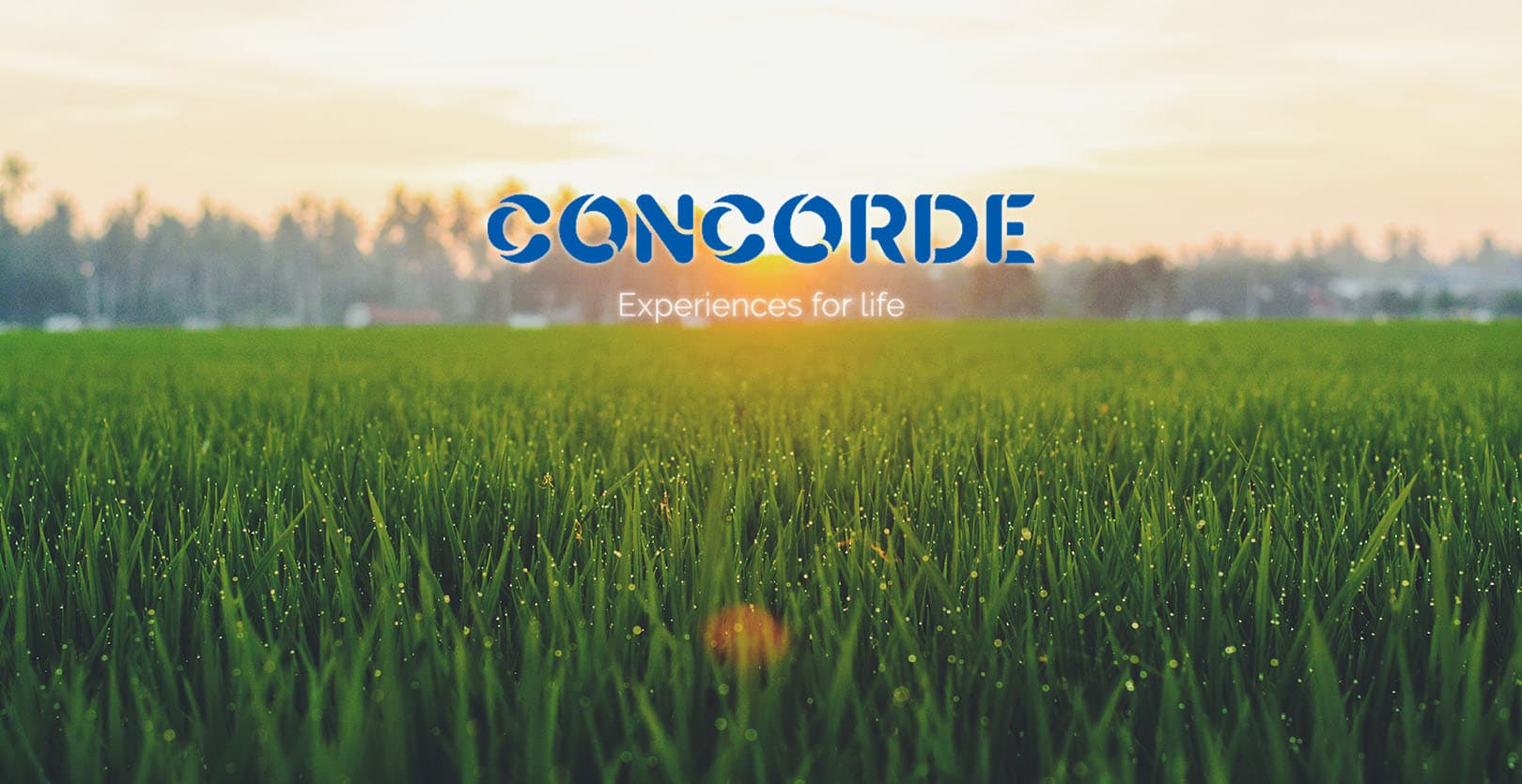  Concorde Equity 